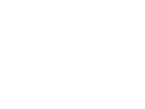 Vorführeffekt
