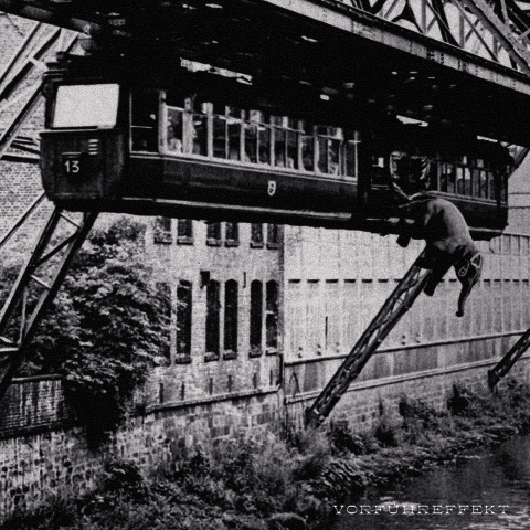 VORFÜHREFFEKT - Das Album